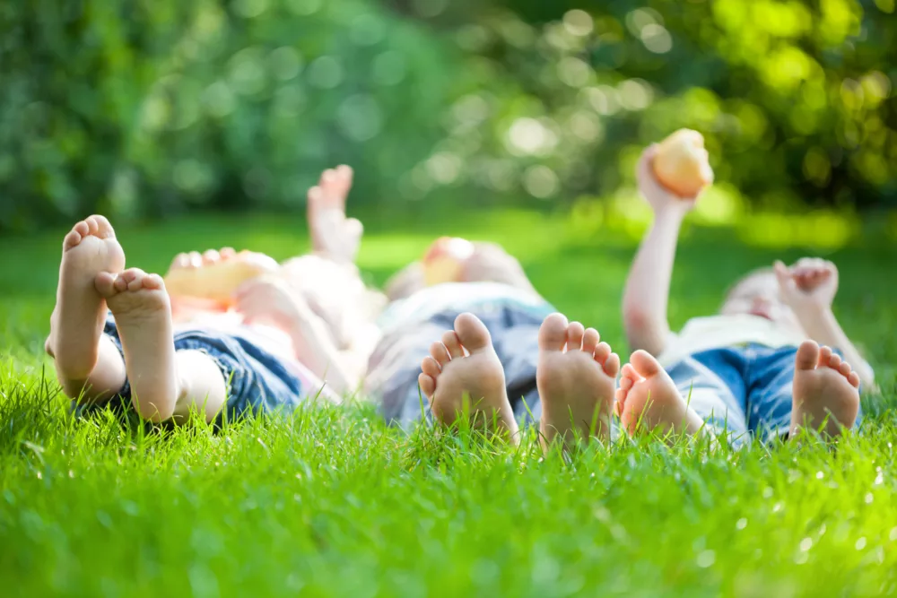 Lawn Domination keeps your family healthy
